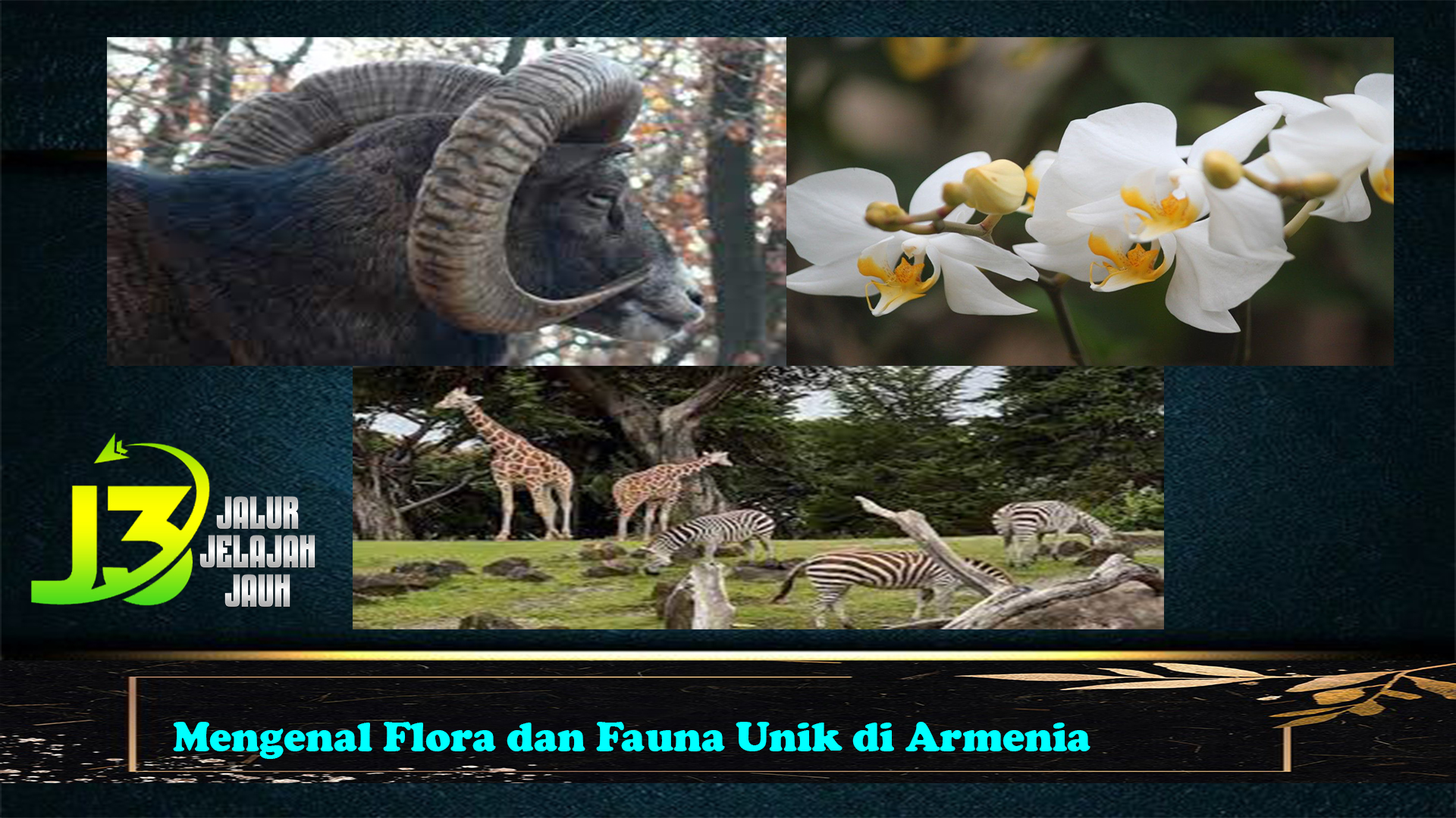 Mengenal Flora dan Fauna Unik di Armenia