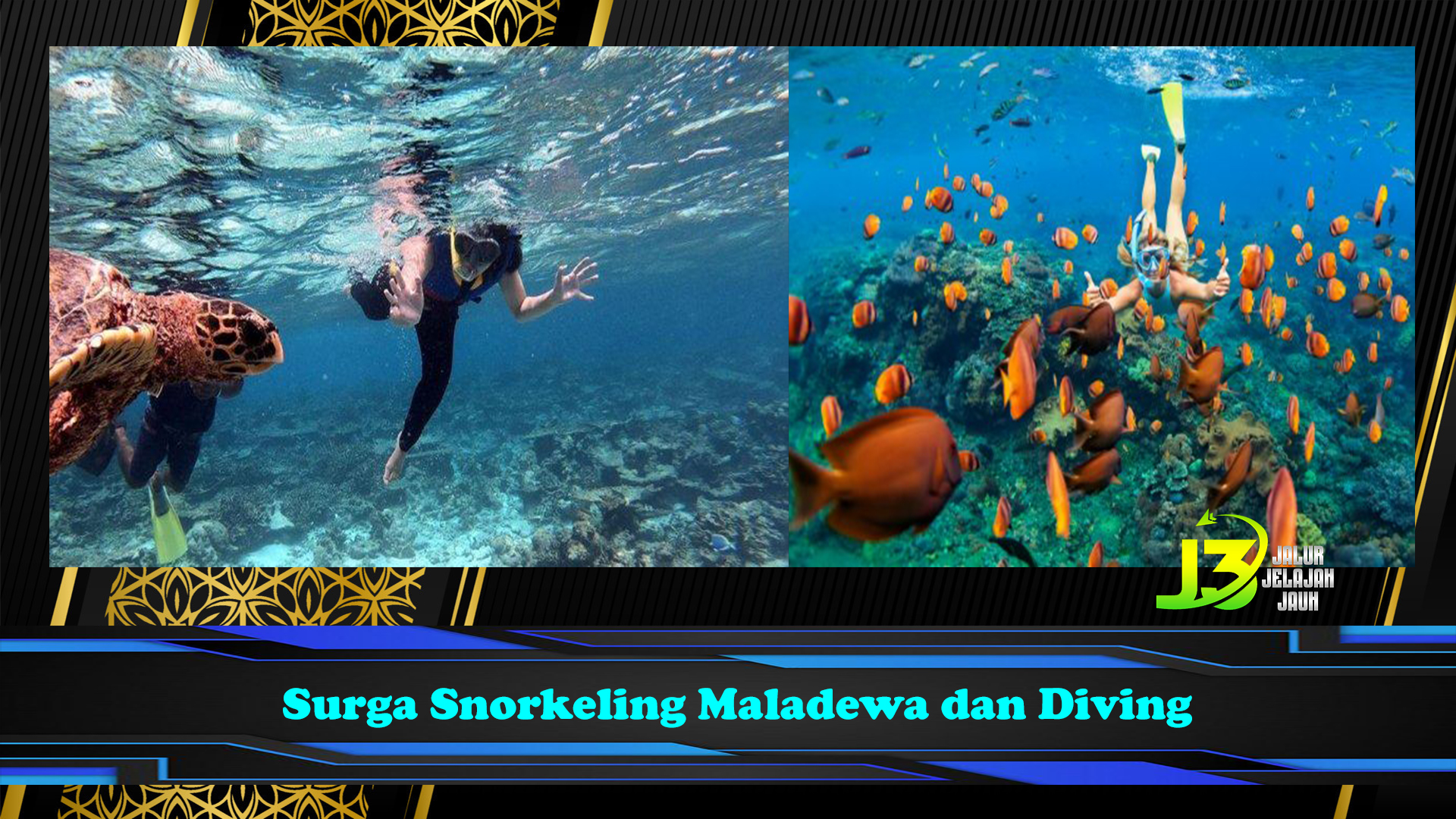 Surga Snorkeling Maladewa dan Diving