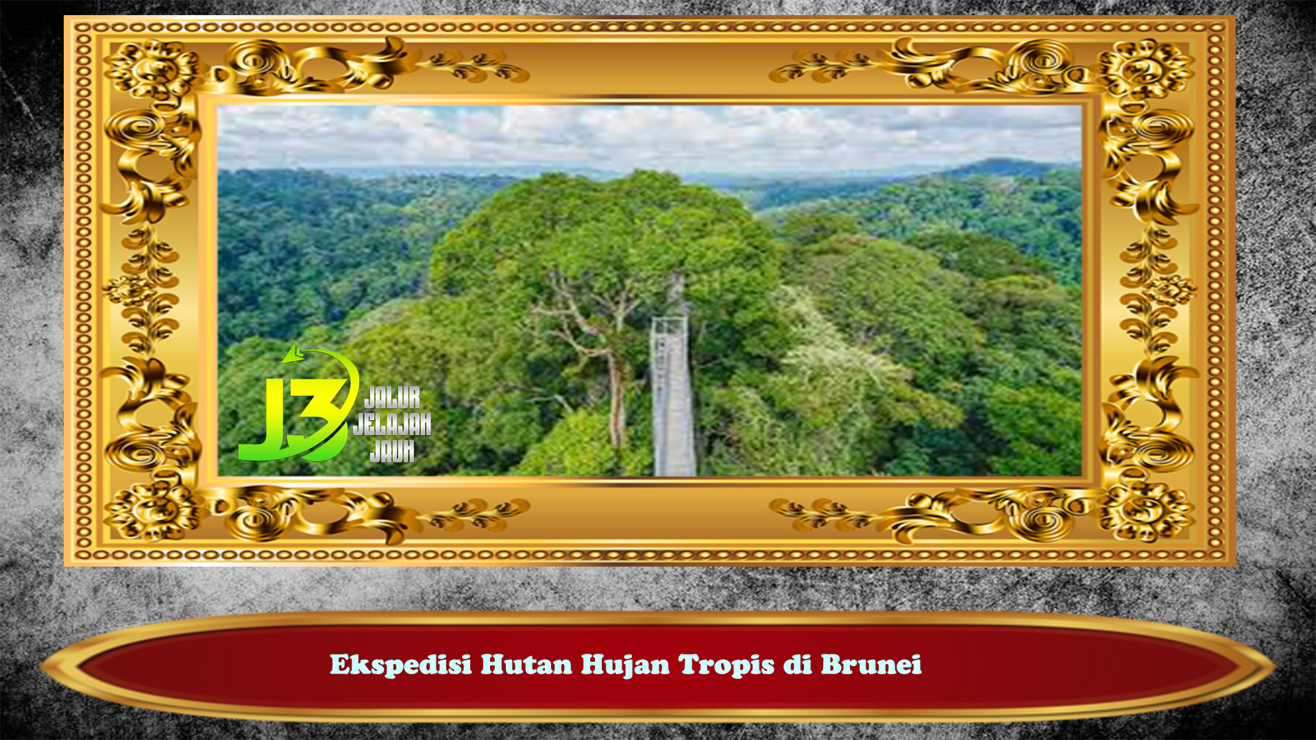 Ekspedisi Hutan Hujan Tropis di Brunei