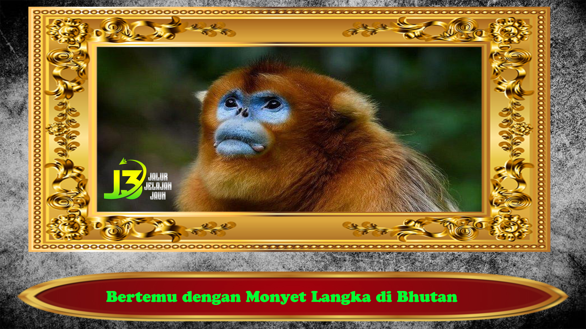 Bertemu dengan Monyet Langka di Bhutan