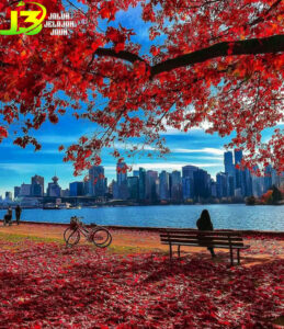 Tempat yang Wajib Dikunjungi di Vancouver